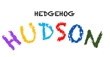 Teamdondra Stories | Hedgehog Hudson
